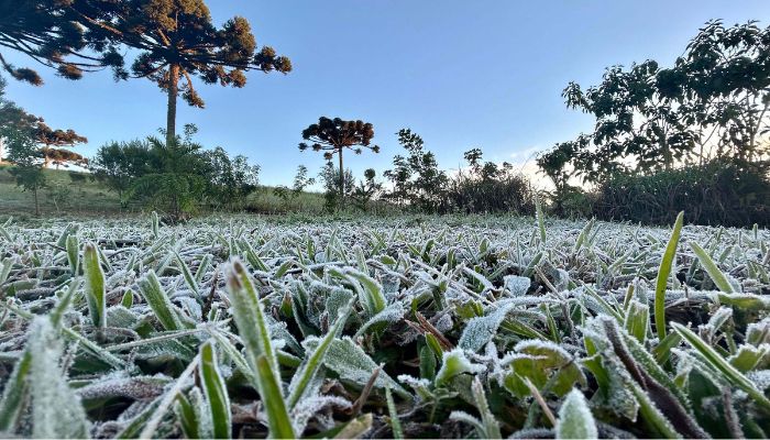 Foto: Ana Tigrinho/AEN Primeira onda de frio chega ao Paraná semana que vem com termômetros perto de 0ºC